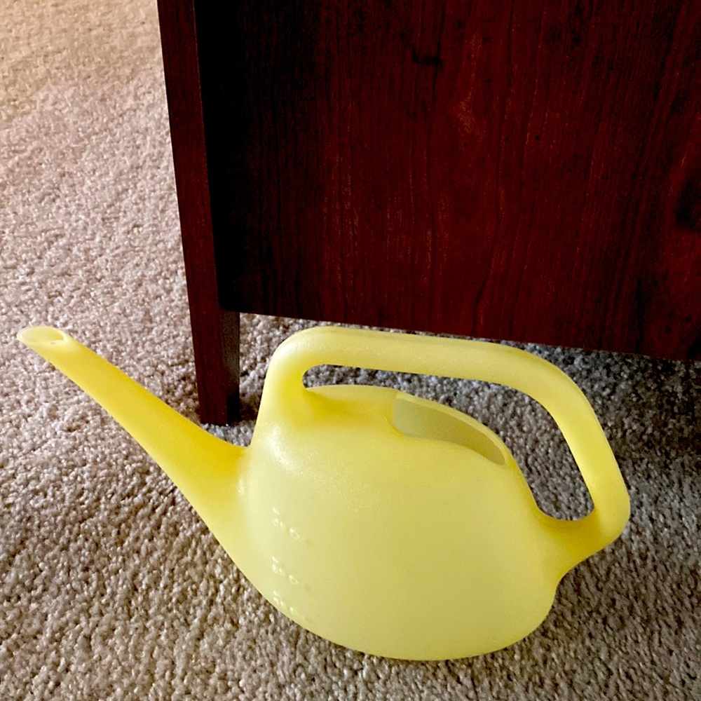 Plastic Watering Can (Functional)